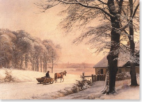 Homeward Bound Holiday Boxed Cards (Christmas Cards, Holiday Cards, Greeting Cards)