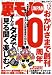 裏モノJAPAN (ジャパン) 2008年 12月号 [雑誌]