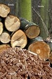 Wallmonkeys Peel and Stick Wall Decals - Tree with Wood Pellets - 48