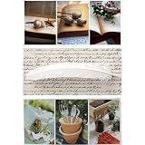 Ephemera Assorted Fold'n Please Cards - Set of 3 Cards