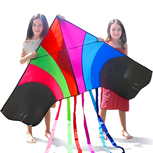 Tomi Kite - Huge Rainbow Kite That is Ideal for Kids and Adults - Easy to Launch in Stiff Wind or Soft Breeze - 60 Inches Wide - 100 Meter String - 6 Tails - Built to Last - Great for Family Fun and children