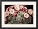 Framed Prints of Chelsea Flower Show from Prints Prints Prints