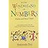 In the Wonderland of Numbers