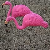Rhode Island Novelty Yard Flamingos - Set of 2