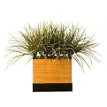 Faux Wild Grass in Wooden Planter- Green
