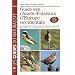 Guide des chants d'oiseaux d'Europe Occidentale : Description et comparaison des chants et des cris