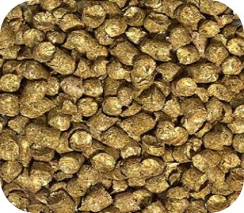 Grassland Tortoise Food Bulk 3 Lbs.