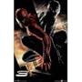 24-Inch-by-36-Inch Spider-Man 3 (Dual Red/Black) Movie Poster
