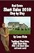 Real Estate Short Sales 2010: Step by Step