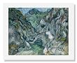 Vincent van Gogh, Ravine