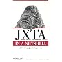 JXTA in a Nutshell