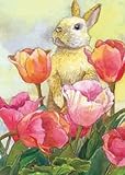 Bunny Tulip