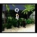 Product Video: The Sims 2: Castaway - Trailer