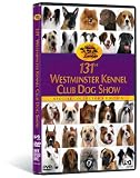 131st Westminster Kennel Club Dog Show