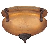 51 wMTB9RiL. SL160  How to replace a bulb in a flush mount ceiling fixture?