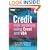 Credit Risk Modeling Using Excel and VBA (The Wiley Finance Series)