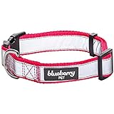 Blueberry Pet 3/8-Inch Basic Polyester Nylon Dog Collar for Puppy, X-Small, French Pink