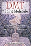DMT: The Spirit Molecule: A Doctor's...