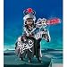 PLAYMOBIL� 4841 - Rachenreiter mit LED-Leuchtlanze