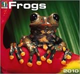 Frogs 2010 Wall Calendar