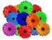 Flowers of Live - Couleurs De Vie - 24
