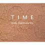 Time: Andy Goldsworthy