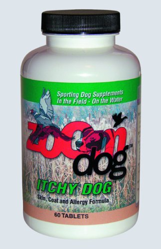 Zoom Dog Itchy Dog