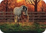 TUFTOP Cutting Board TT93101 Mare  Foal - Small (9' 'x12' ')
