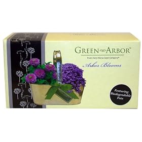 Arbor Blooms Flower Growing Kit by 