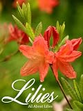 Amazon: All About Lilies (Janice Briley)