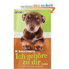 Ich geh�re zu dir: Roman