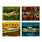 The Need for Speed Collection