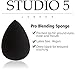 Essential Eye Brush Set by Studio 5 Cosmetics