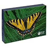 Pomegranate Sierra Club Butterflies Standard Boxed Note Card Set (Pack of 2)