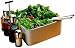 Alessi - Sargiani-Helander  Programma 8 P8Set1 Salad Set