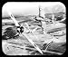 Wildcat Chases Zero Mouse pad Image