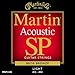 Martin MSP3100 }[` AR[XeBbNM^[