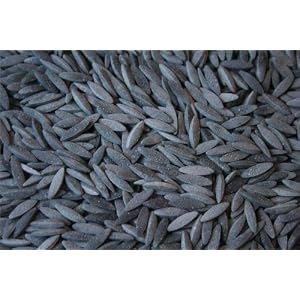 Black Calamari Orzo--12 oz package by The Prepared Pantry