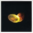 Tell Your Friends (It All Worked Out): +Cds [7" VINYL]