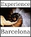 Experience Barcelona: a travel guide (2010)