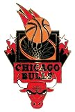 Chicago Bulls NBA Basketball Collector Pin