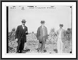 Newswire Photo S Gaynor with others in cornfield St. James L.I.