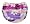 Plumeria Purple