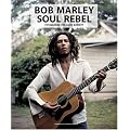 Bob Marley - Soul Rebel: Fotografien von David Burnett