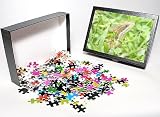 Photo Jigsaw Puzzle of Jesus Christ basilisk (basiliscus basiliscus), Manuel Antonio National Park, from Robert Harding