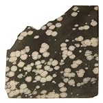 Obsidian Charger 01 Slab Snowflake Black Gray Freeform Crystal Healing Stone Slice 5.5