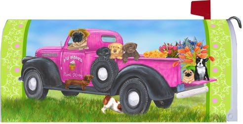 Summer Delivery Magnetic Mailbox Cover