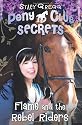 Pony Club Secrets (9) - Flame and the Rebel Riders