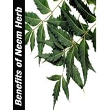 Powerful Herb - The Amazing Health Benefits and Uses of Neem in dealing with health issues ranging from Dental Problems to Arthritis to Diabetes