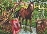Paint By Number Kit 12-Inch by 15-1/2-Inch, Horse